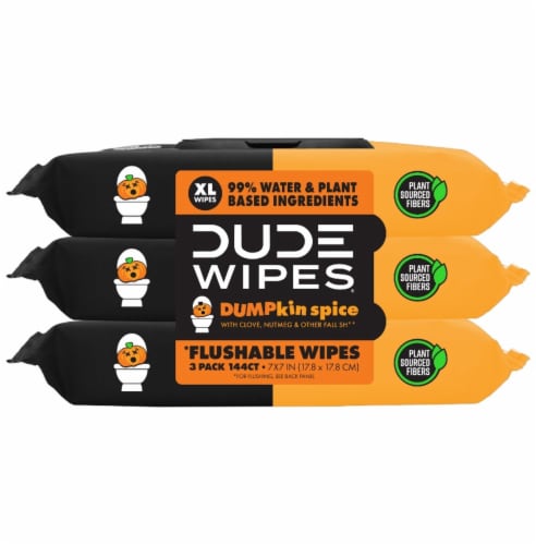 DUDE Wipes® DUMPkin Spice Flushable Wipes