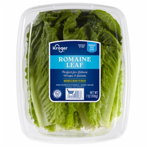 Kroger® Romaine Leaf Lettuce