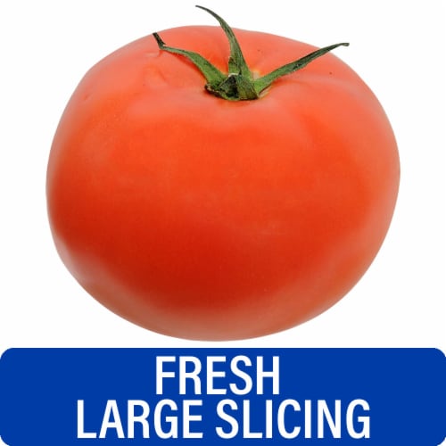 Fresh Large Red Slicing Tomato