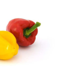 Capsicum Vegetable Chili Herbs Spices Cooking Recipe Cooks Recipes Food Garden: Notebook Large Size 8.5 X 11 Ruled 150 Lined Softcover Wild Pages Pres