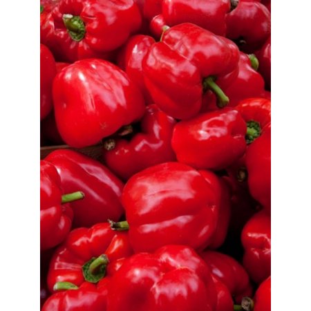 Red Bell Peppers for Sale at Weekly Market Arles Bouches-Du-Rhone Provence-Alpes-Cote DAzur France Canvas Art - Panoramic Images (27 X 36)