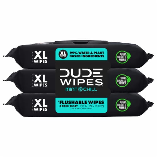 DUDE Wipes® Mint Chill Adult Flushable Wipes