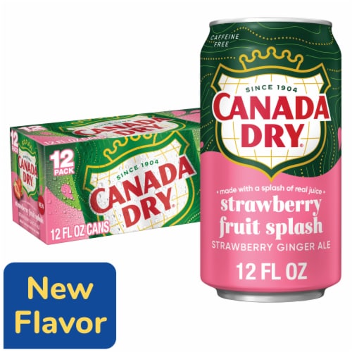 Canada Dry Fruit Splash Strawberry Ginger Ale Soda Cans