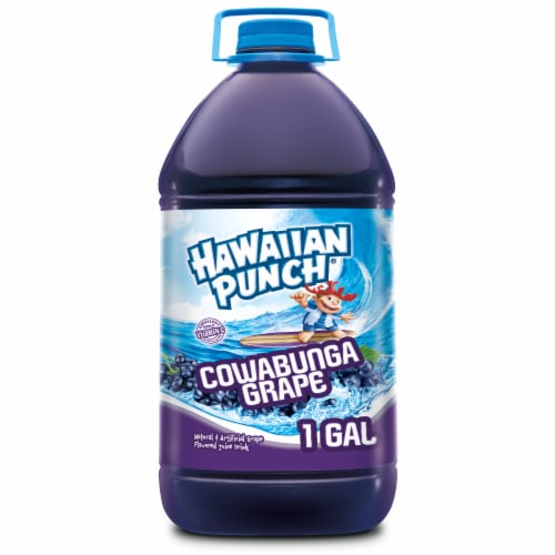 Hawaiian Punch Cowabunga Grape Juice Drink Bottle