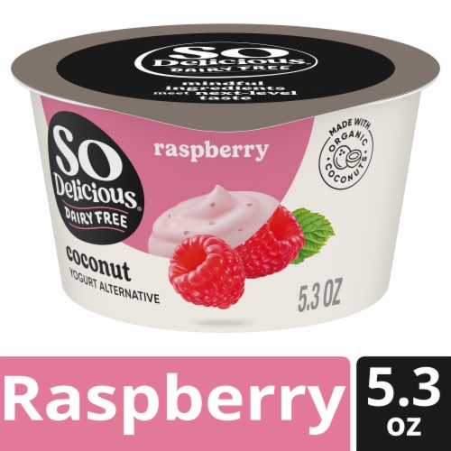 So Delicious Raspberry Dairy Free Vegan Coconut Milk Yogurt Cup