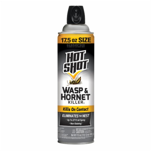 Hot Shot® Wasp and Hornet Killer Spray