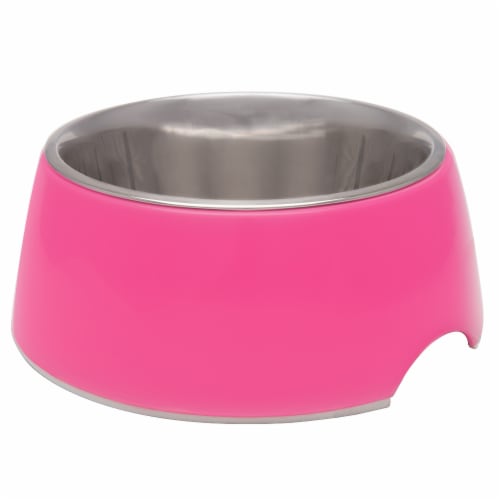 Retro Bowl X-Small Hot Pink Pet Bowl