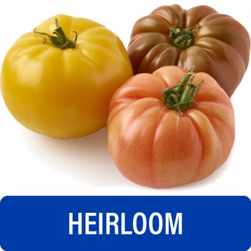 Fresh Heirloom Tomato