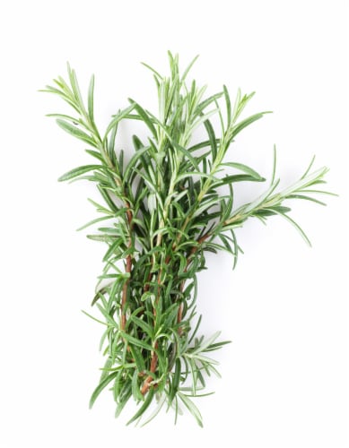 Rosemary Bunch