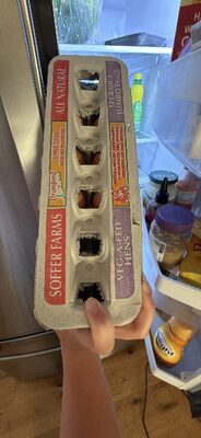 Soffer Farms Jumbo Eggs Brown 1dz