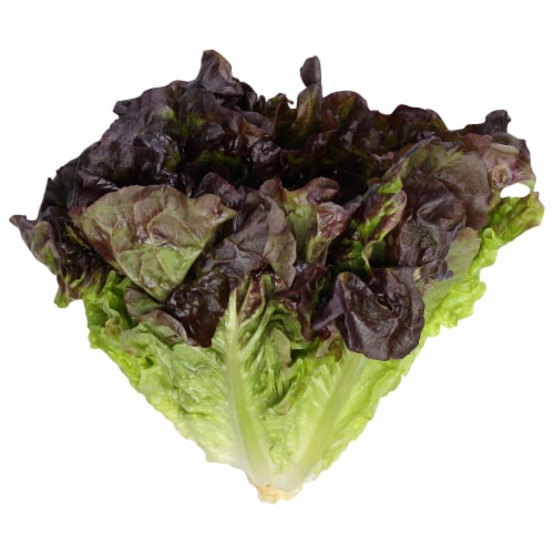 Organic Red Leaf Lettuce