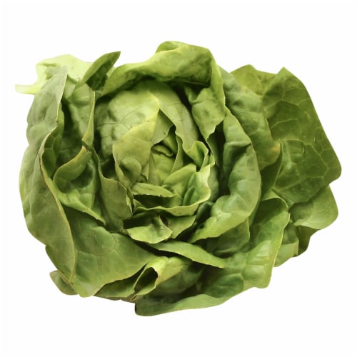 Boston Lettuce