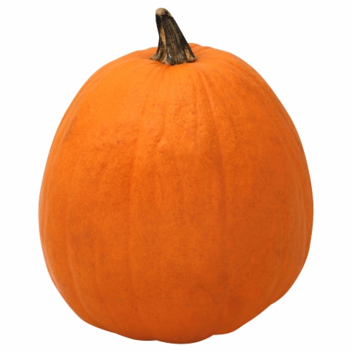 Fresh Grown Medium Pumpkins