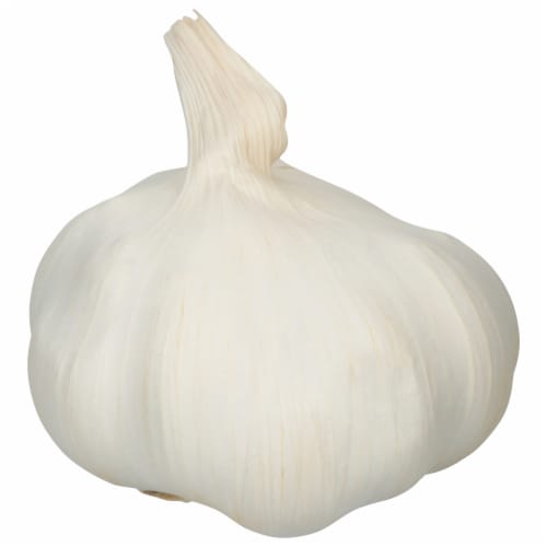 Organic Garlic