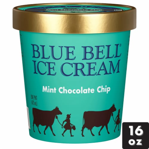 Blue Bell® Mint Chocolate Chip Ice Cream Pint