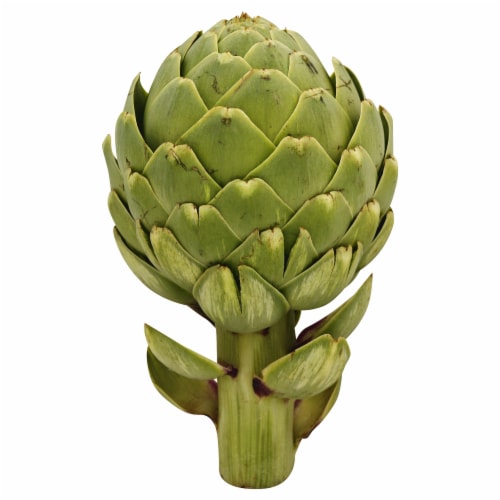 Artichoke