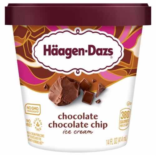 Haagen Dazs Chocolate Chocolate Chip Ice Cream, 14 Oz