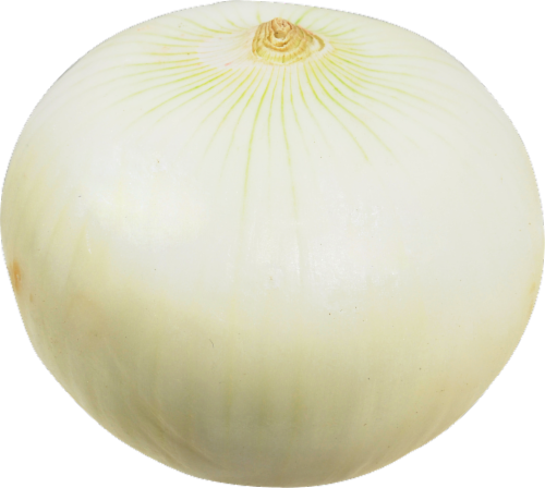Peeled Jumbo White Onions