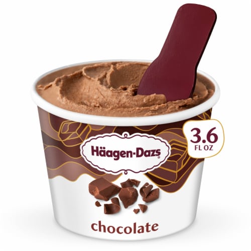 Haagen-Dazs Chocolate Ice Cream Cup, 3.6oz