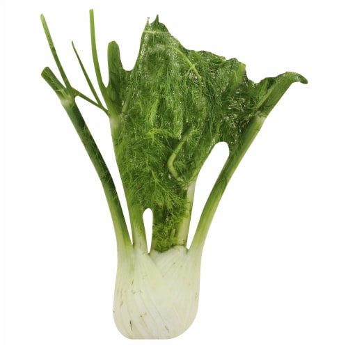 Fresh Fennel