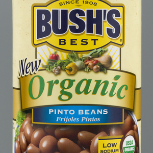 Bush's Organic Pinto Beans 15oz