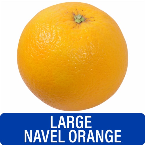 Large Fresh Navel Orange- Each