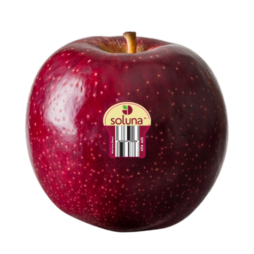 Soluna Apple