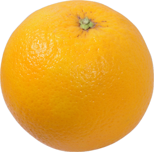 Large Navel Orange
