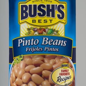 BUSHS BEST PINTO BEANS 16OZ