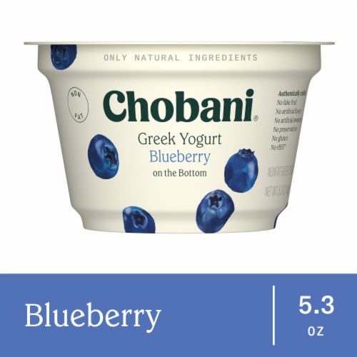 Chobani Non-Fat Blueberry on the Bottom Greek Yogurt 5.3oz