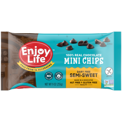 Enjoy Life™ Semi-Sweet Dairy Free Vegan Mini Chocolate Chips