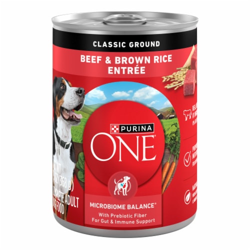 ONE Classic Ground Beef and Brown Rice Entree Adult Wet Dog Food
