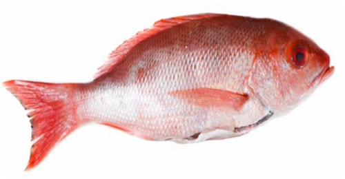 Whole Dressed Snapper