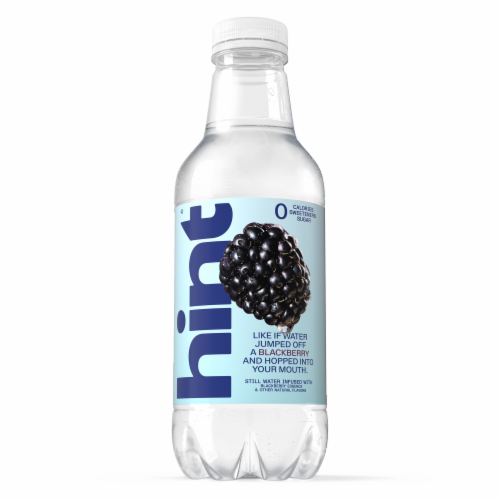 Hint® Blackberry Flavored Bottled Water
