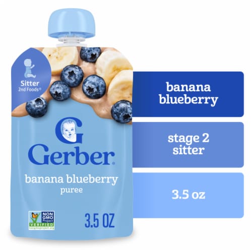 Gerber Toddler Foods WonderFoods Banana Blueberry Clean Label Project Pouch