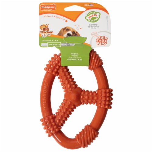 Nylabone® Fun 'N' Fit Chicken Flavor Flexible Ring Dog Toy