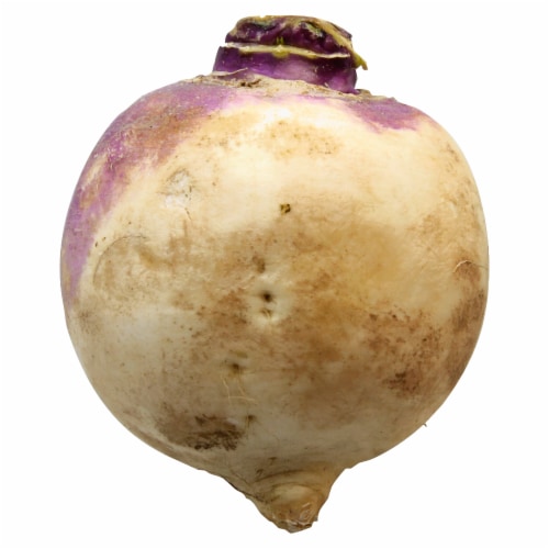 Turnip