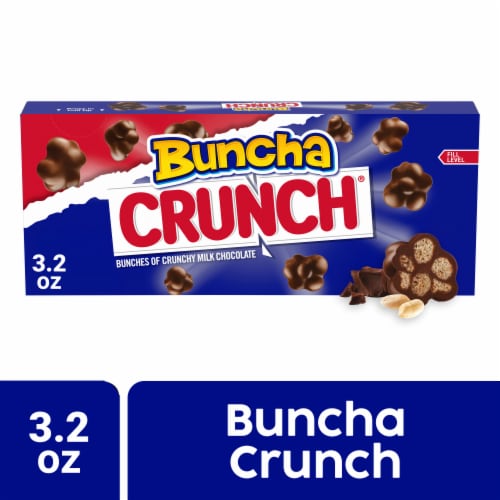 Buncha CRUNCH Candy Pieces of Creamy Milk Chocolate with Crisped Rice Movie Theater Candy