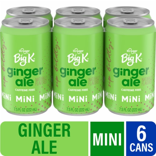 Big K® Ginger Ale Caffeine Free Mini Soda Cans