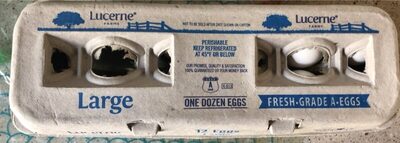Lucerne Large White Eggs