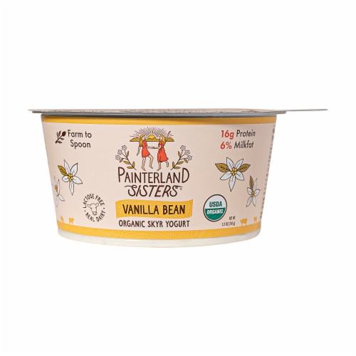 Painterland Sisters™ Vanilla Organic 6% Milkfat Skyr Yogurt Cup