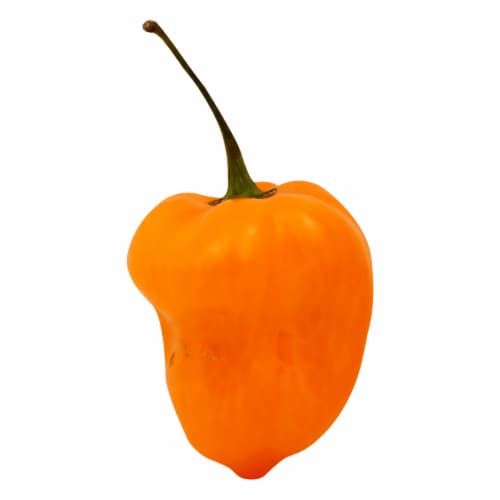 Fresh Habanero Peppers