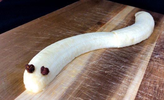 Serpiente de Fruta