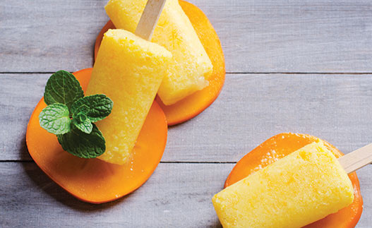 Yogurt Popsicles