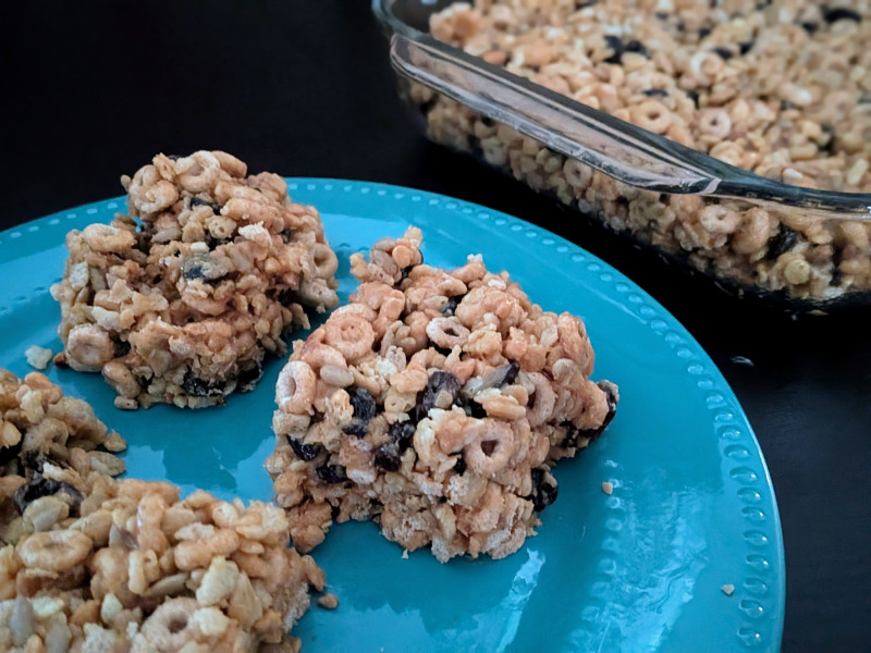 Trail Mix Bars